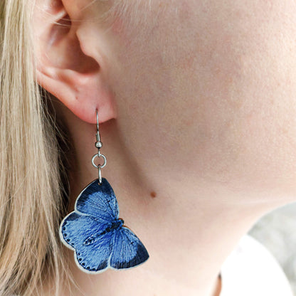 Paatsamasinisiipi korvakoru