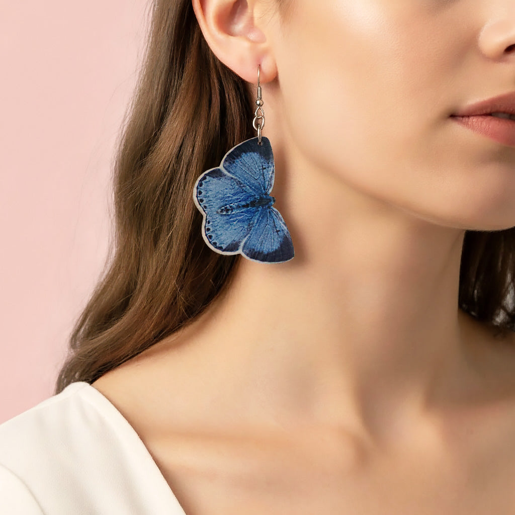 Paatsamasinisiipi perhoskorvakoru