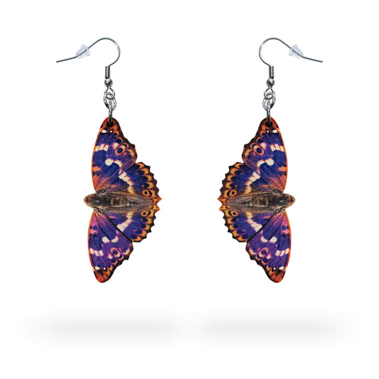 Pikkuhäiveperhonen korvakorut